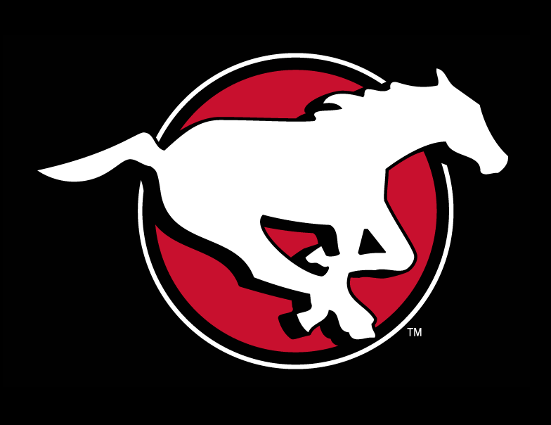 calgary stampeders 2012-pres alternate logo v2 t shirt iron on transfers